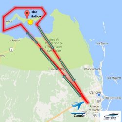 Tours en Helicoptero en Cancun Tour en avioneta a holboz nado con tiburon ballena desde cancun