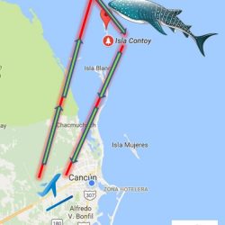 Tours en Helicoptero en Cancun Tour en avioneta a Isla Contoy nado con tiburon ballena desde cancun