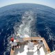 Renta de yate para pesca deportiva en Cancun hateras de 46 pies